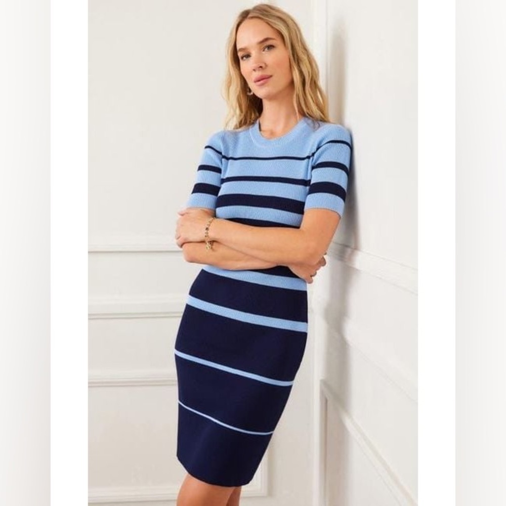 NWT Karen Kane Ribbed Stripe Fitted Dress Sz M
